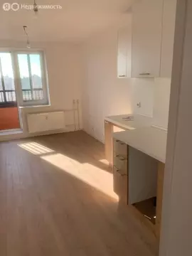 Квартира-студия: Колпино, Загородная улица, 45к4 (20 м)