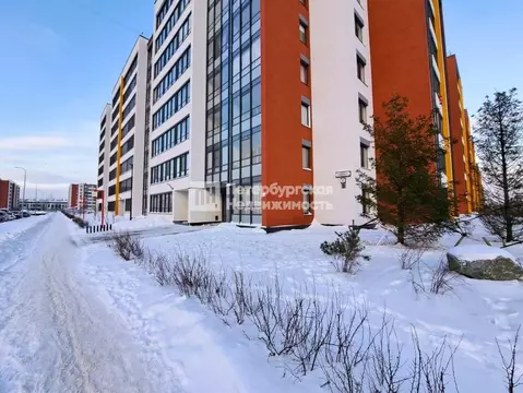 Студия Санкт-Петербург ул. Бориса Шмелева, 7 (25.0 м)