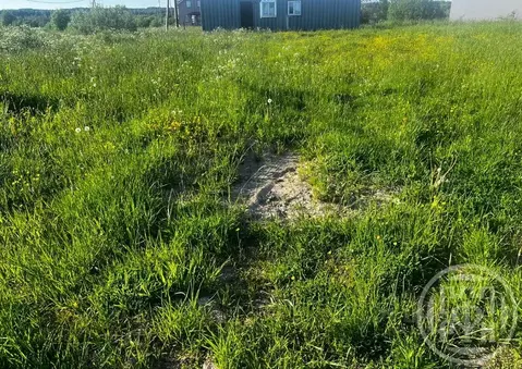 Участок в Ленинградская область, Ломоносовский район, Оржицкое с/пос, ...