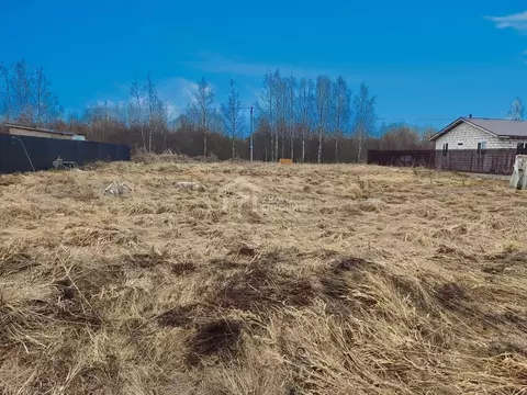 Участок в Ленинградская область, Ломоносовский район, Низинское с/пос, ...