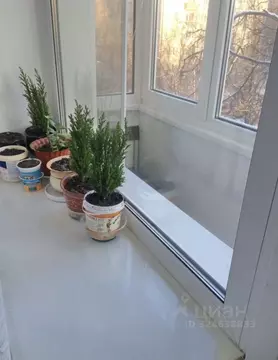 Комната Москва ул. Марии Ульяновой, 8 (16.0 м)