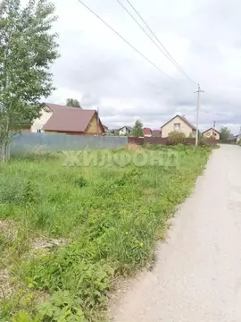 Участок в Новосибирская область, Новосибирский район, Кубовинский ...