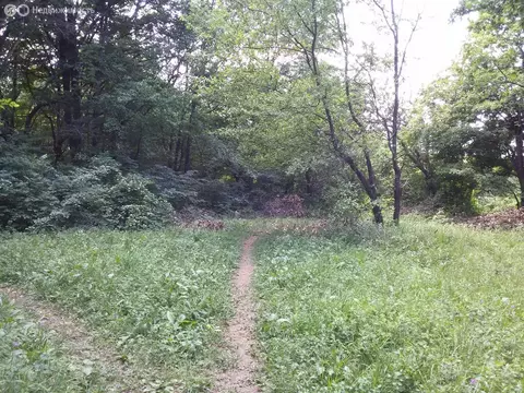 Участок в Добровское сельское поселение, СНТ Артек, улица Грибная ...