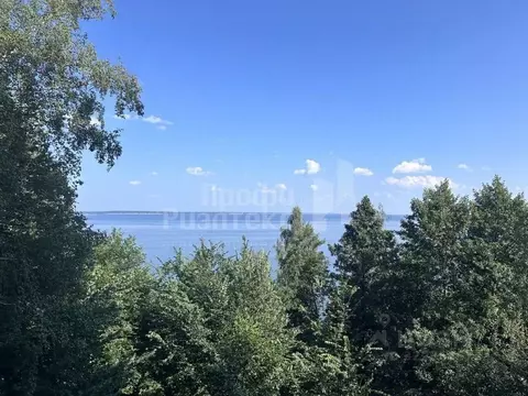 Участок в Нижегородская область, Чкаловск муниципальный округ, д. ...
