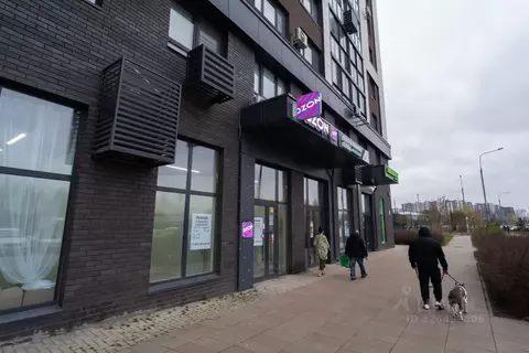 Помещение свободного назначения в Москва бул. Веласкеса, 5к5 (16 м)