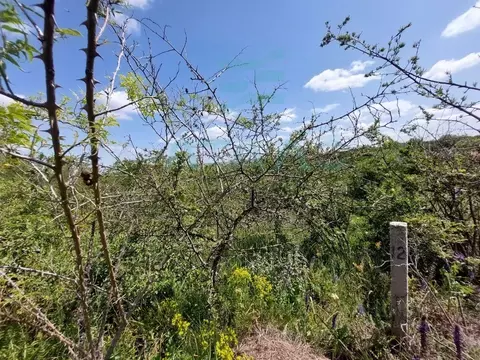 Участок в Крым, Симферопольский район, Добровское с/пос, с. Мраморное, ...