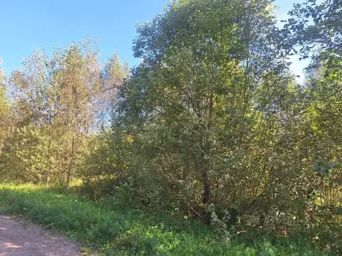 Участок в Московская область, Можайский муниципальный округ, Уваровка ...