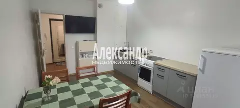 1-к кв. Санкт-Петербург Глухарская ул., 27к1 (46.3 м)