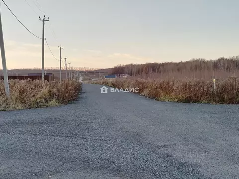 Участок в Нижегородская область, Богородский муниципальный округ, ...