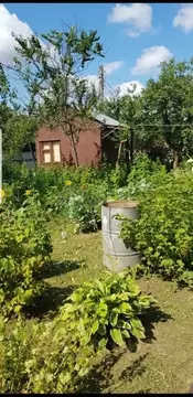 Участок в Калужская область, Жуковский муниципальный округ, Аэлита СНТ ...