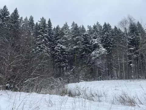 Участок в Московская область, Дмитровский муниципальный округ, Аусбург ...