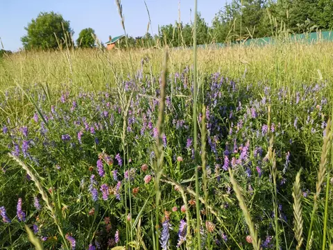 Продается участок в д. Хаустово
