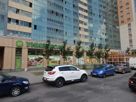 2-к кв. Санкт-Петербург просп. Космонавтов, 65к10 (54.6 м)