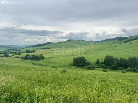 Участок в Алтайский район, ДНТ Жемчужина Алтая (10.15 м)
