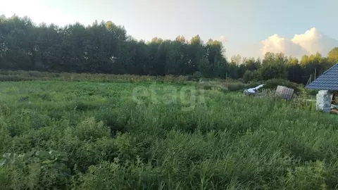 Участок в Вологодская область, с. Первомайское ул. Павловская, 4 (21.0 ...