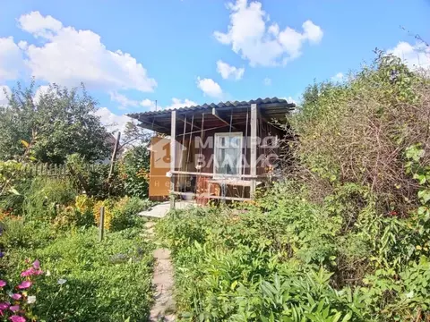 Участок в Омская область, Омск СОСН Птицевод-2 тер.,  (5.9 сот.)