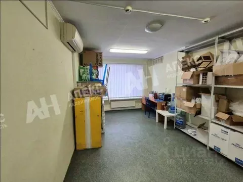 Помещение свободного назначения в Москва ул. Трофимова, 2А (13 м)