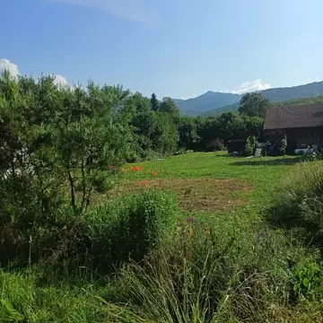 Участок в Адыгея, Майкопский район, Даховское с/пос, с. Хамышки ул. ...