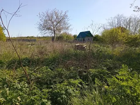 Участок в Краснодарский край, Анапа муниципальный округ, Уташ хут. ул. ...