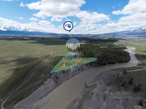 Участок в Алтай, Кош-Агачский район, с. Курай  (247.0 сот.)