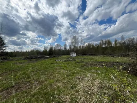 Участок в Ленинградская область, Тосненское городское поселение, д. ...