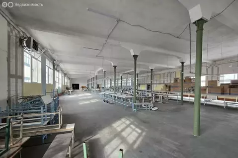 Помещение свободного назначения (1076 м)