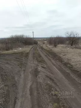 Участок в Тамбовская область, Тамбов Садовая ул. (7.8 сот.)