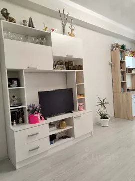 1-к кв. Ставропольский край, Ессентуки Просторная ул., 15к4 (43.4 м)