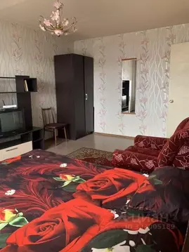 1-к кв. Московская область, Клин Новая ул., 3/5 (35.0 м)