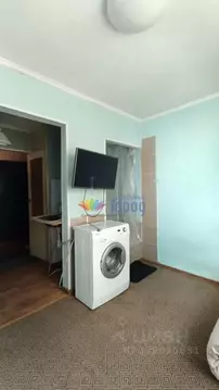 Студия Кемеровская область, Новокузнецк проезд Буркацкого, 26 (17.0 м)