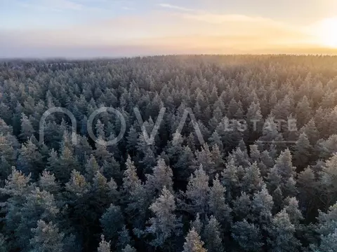 Участок в Ленинградская область, Выборгский район, Первомайское с/пос, ...