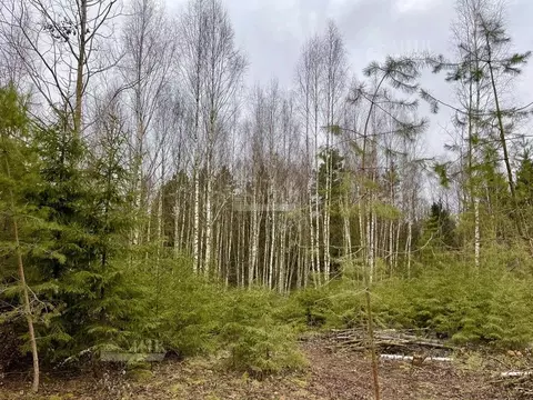 Участок в Московская область, Одинцовский городской округ, д. ...