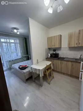 Квартира-студия: Мытищи, Тенистый бульвар, 19 (21.3 м)