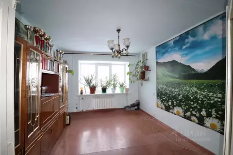 2-к кв. Алтайский край, Новоалтайск 8-й мкр, 6 (50.0 м)