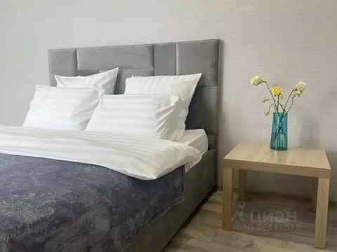 2-к кв. Амурская область, Благовещенск Амурская ул., 283 (20.0 м)