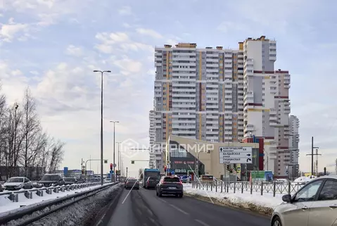 Студия Санкт-Петербург пос. Шушары, ул. Валдайская, 6к2 (24.8 м)