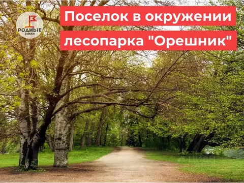 Участок в Московская область, Ногинск Богородский городской округ, ...