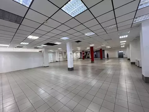 Торговая площадь в Ульяновская область, Ульяновск Камышинская ул., 16В ...