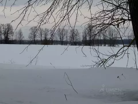 Участок в Московская область, Кашира городской округ, пос. Ледово  ...