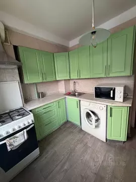 2-к кв. Санкт-Петербург Пискаревский просп., 39 (50.0 м)