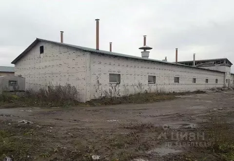 Производственное помещение в Алтайский край, Тальменский район, ...