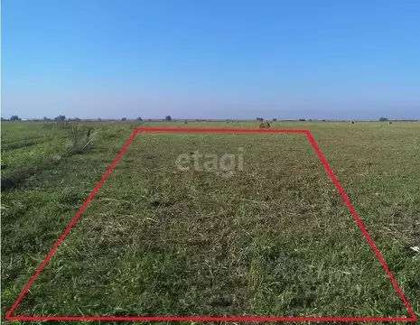 Участок в Крым, Ленинский район, Семисотское с/пос, с. Каменское ул. ...