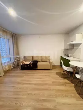 Студия Ленинградская область, Всеволожский район, Заневское городское ...