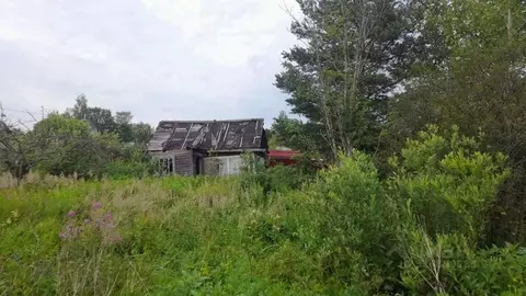 Участок в Новгородская область, Новгородский район, Панковское ...