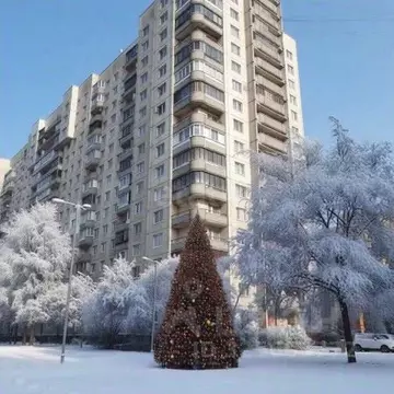 2-к кв. Санкт-Петербург просп. Культуры, 19 (51.7 м)