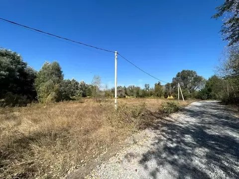 Участок в Воронежская область, Новоусманский район, Хреновское с/пос, ...