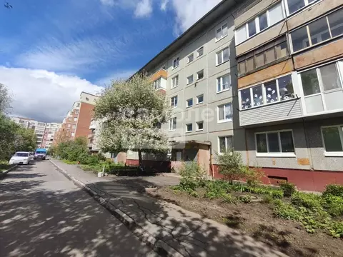 3-к кв. Омская область, Омск пос. Амурский, ул. Багратиона, 86 (68.7 ...