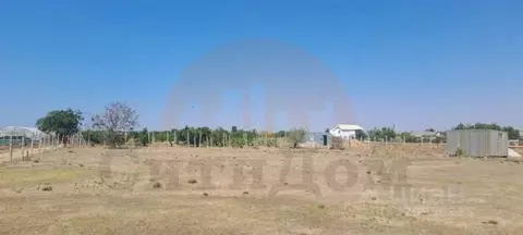 Участок в Крым, Сакский район, Ореховское с/пос, с. Михайловка, Пчелка ...