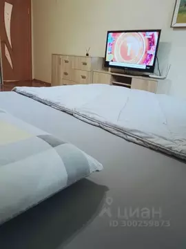 1-к кв. Самарская область, Самара ул. Гагарина, 173 (30.0 м)