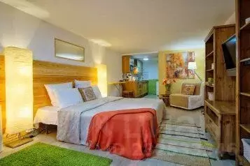 1-к кв. Краснодарский край, Сочи  (31.0 м)